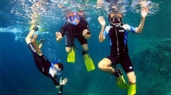 Snorkelling in Tenerife
