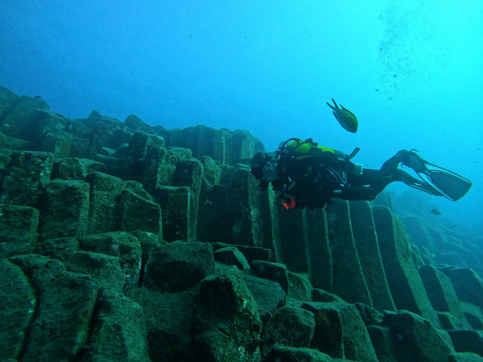 Site de plongée Atlantis, Los Gigantes